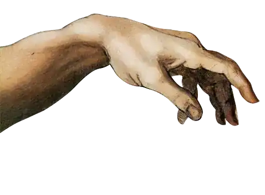 Left Hand